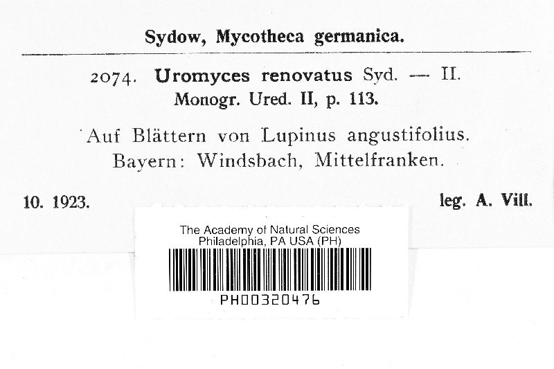 Uromyces renovatus image