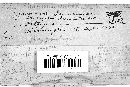 Hypochnus pannosus image