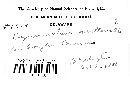 Pseudochaete tabacina image