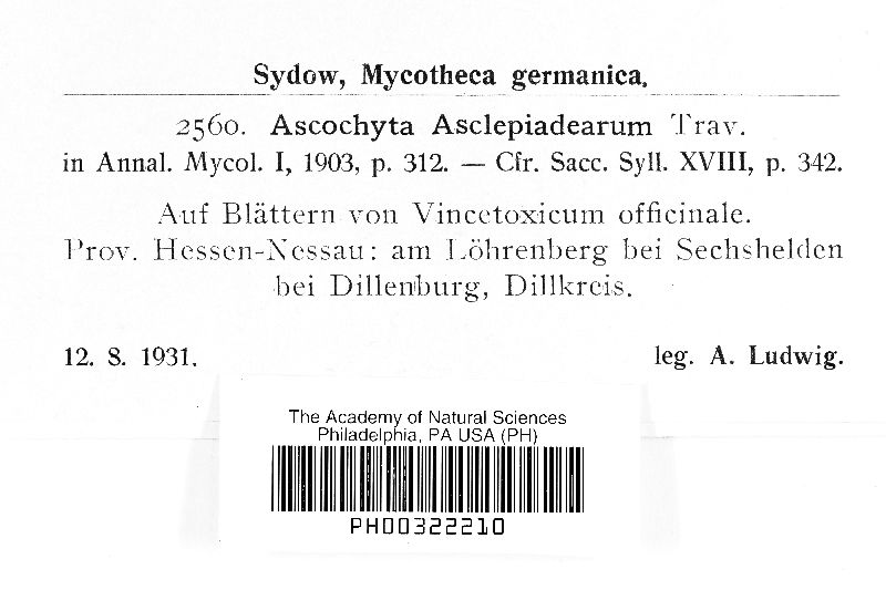 Ascochyta asclepiadearum image
