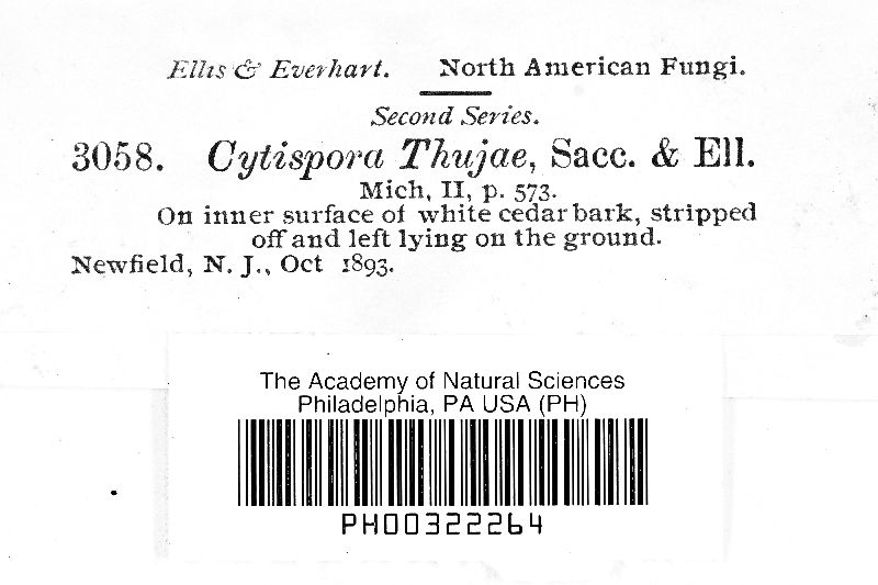 Cytospora thujae image