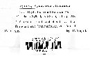 Diplodia gleditschiae image