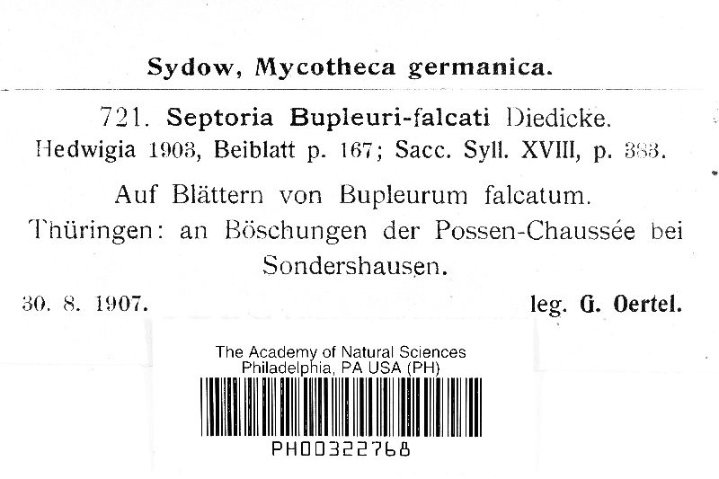 Septoria bupleuri-falcati image