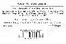 Septoria cucurbitacearum image