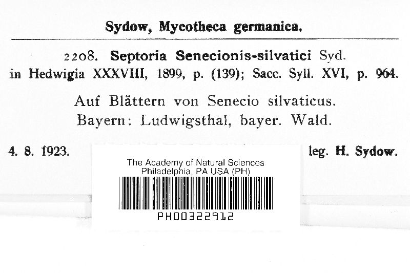 Septoria senecionis-silvatici image