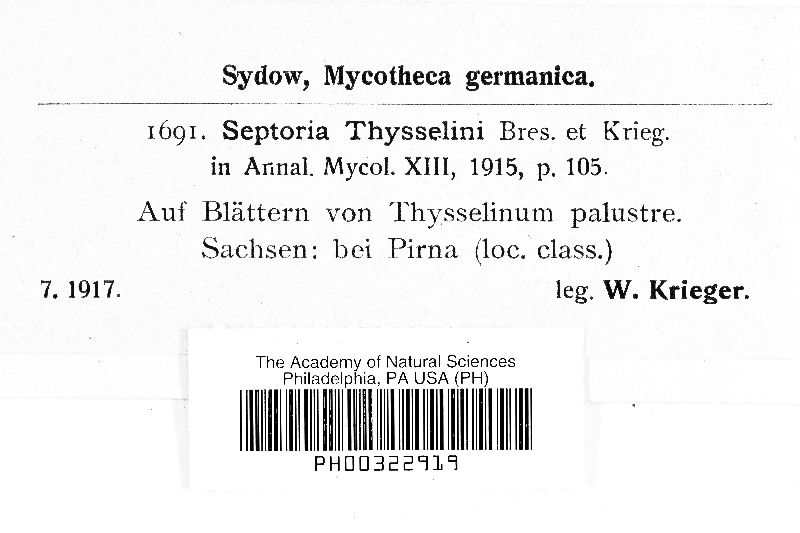 Septoria thysselini image