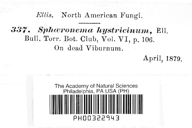 Sphaeronaema hystricinum image