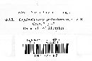 Leptostroma petiolorum image