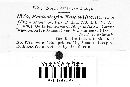 Protostegia magnoliae image