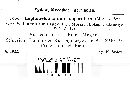 Image of Melanconium asperulum