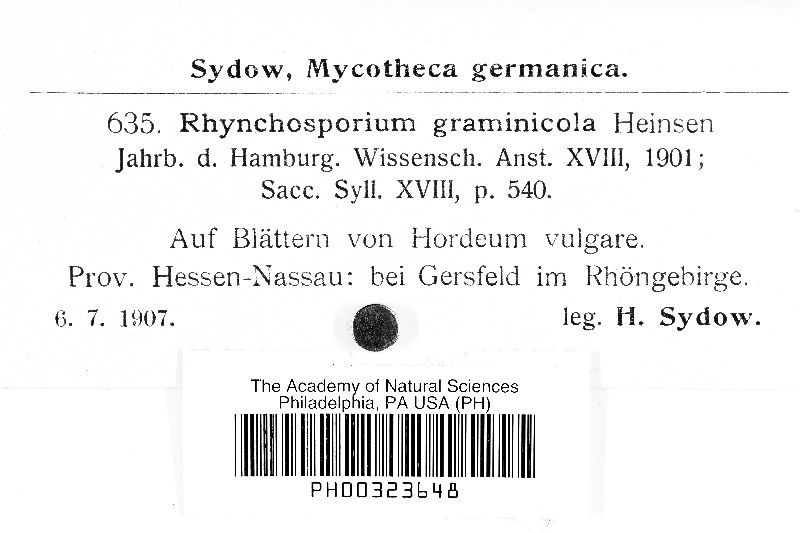 Rhynchosporium secalis image