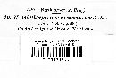 Helminthosporium arctesporum image