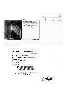 Physarum polycephalum image