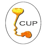 icon for collection