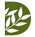 icon for collection