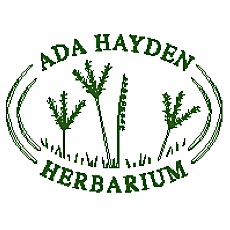 icon for collection
