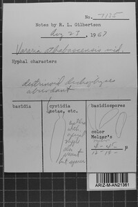 Vararia athabascensis image