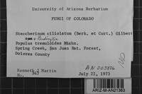 Steccherinum ciliolatum image