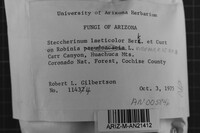 Steccherinum laeticolor image