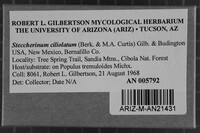 Steccherinum ciliolatum image