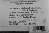 Steccherinum ciliolatum image