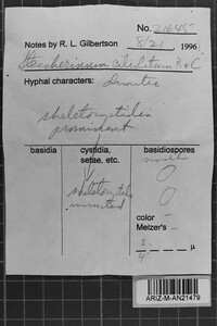 Steccherinum ciliolatum image