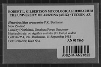 Heterobasidion araucariae image