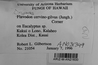 Oxyporus cervinogilvus image