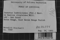 Inocutis ludoviciana image