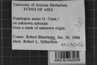 Fomitopsis maire image