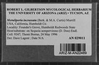Meruliporia incrassata image