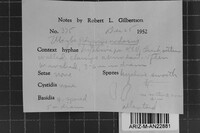 Postia undosa image