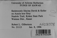 Skeletocutis lilacina image