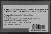 Postia ceriflua image