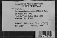 Loweporus tephroporus image