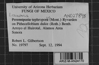 Loweporus tephroporus image