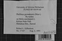 Phellinus grenadensis image
