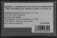 Fulvifomes inermis image