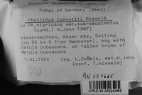 Phellinus lundellii image