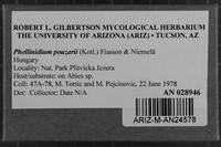 Phellinidium pouzarii image