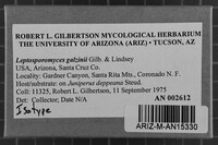 Leptosporomyces galzinii image