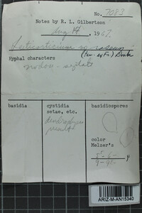 Corticium roseum image