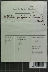 Leptosporomyces galzinii image