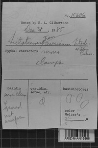 Sistotremastrum suecicum image