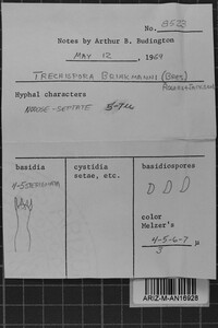 Sistotrema brinkmannii image