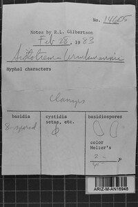 Sistotrema brinkmannii image