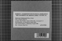 Sistotrema brinkmannii image