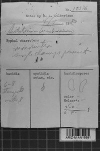 Sistotrema brinkmannii image