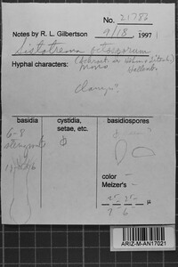 Sistotrema octosporum image