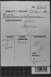 Sistotrema brinkmannii image